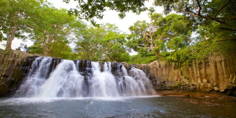 Vườn quốc gia nhiệt đới Black River Gorges