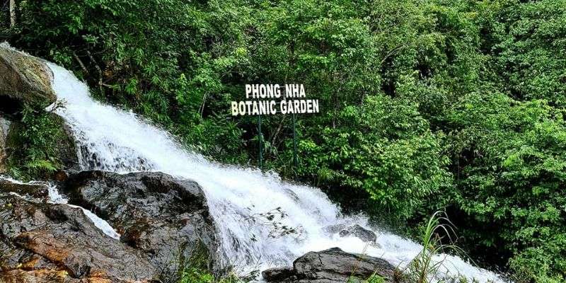 Vườn thực vật cũng là nơi rất đáng để trải nghiệm