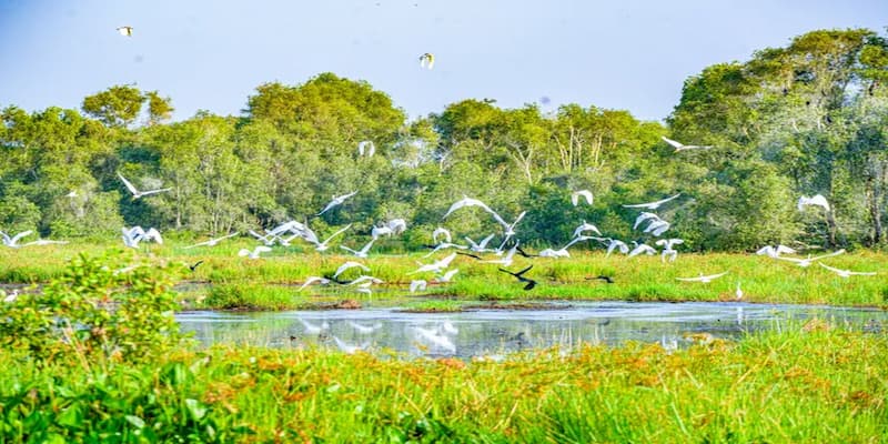 Trở thành dân chơi miệt vườn khi chèo xuống trên sông