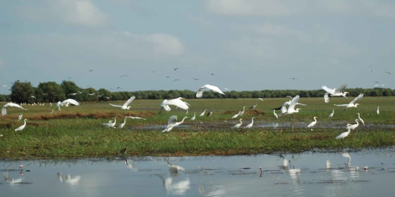 Địa điểm nơi cò bay thẳng cánh ngút trời đúng nghĩa