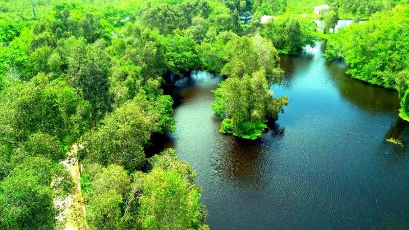 U Minh Thượng là nơi sinh sống của nhiều động vật hoang dã