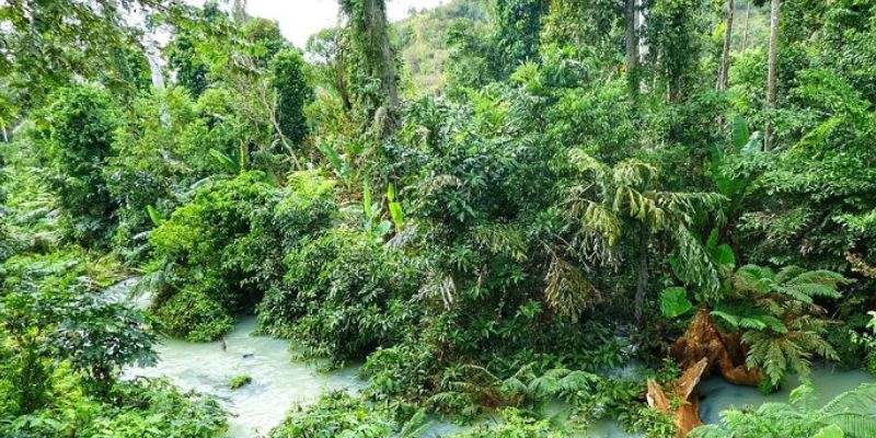 Trải nghiệm tham quan ở vườn quốc gia Yok Đôn