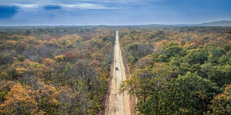 Rừng khộp là nét đặc trưng nhất ở Yok Đôn